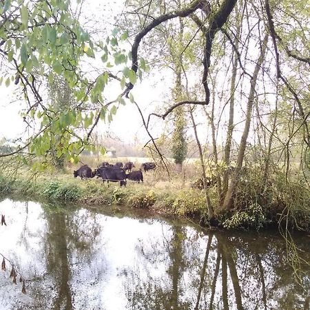Gite " Jardin Peyrona" Visite Zoo Beauval Et Chateaux De Loire Beaulieu-lès-Loches Екстериор снимка