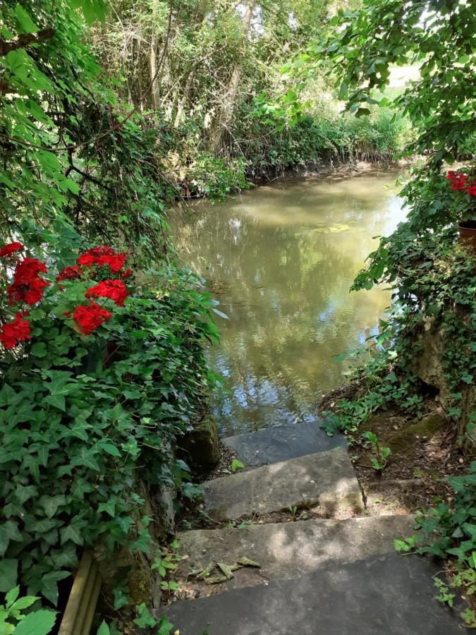 Gite " Jardin Peyrona" Visite Zoo Beauval Et Chateaux De Loire Beaulieu-lès-Loches Екстериор снимка