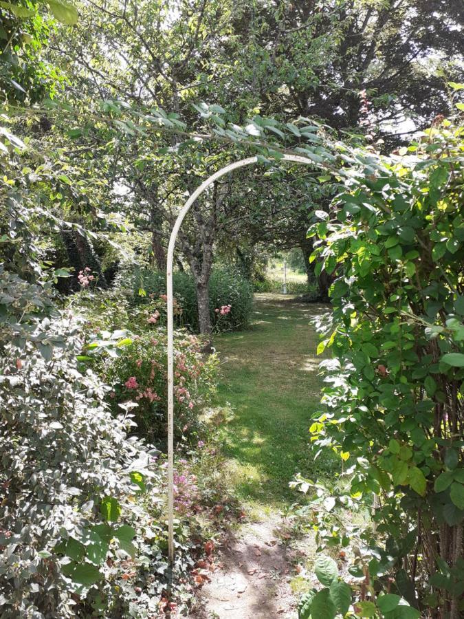Gite " Jardin Peyrona" Visite Zoo Beauval Et Chateaux De Loire Beaulieu-lès-Loches Екстериор снимка