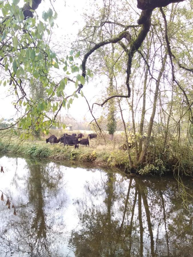 Gite " Jardin Peyrona" Visite Zoo Beauval Et Chateaux De Loire Beaulieu-lès-Loches Екстериор снимка